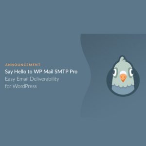 WP-Mail-SMTP-Pro