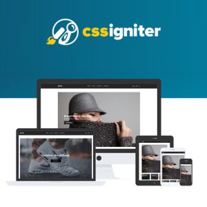 CSS-Igniter-Neto-WooCommerceTheme