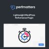 Perfmatters-WordPress-Plugin