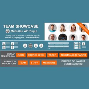 Team-Showcase